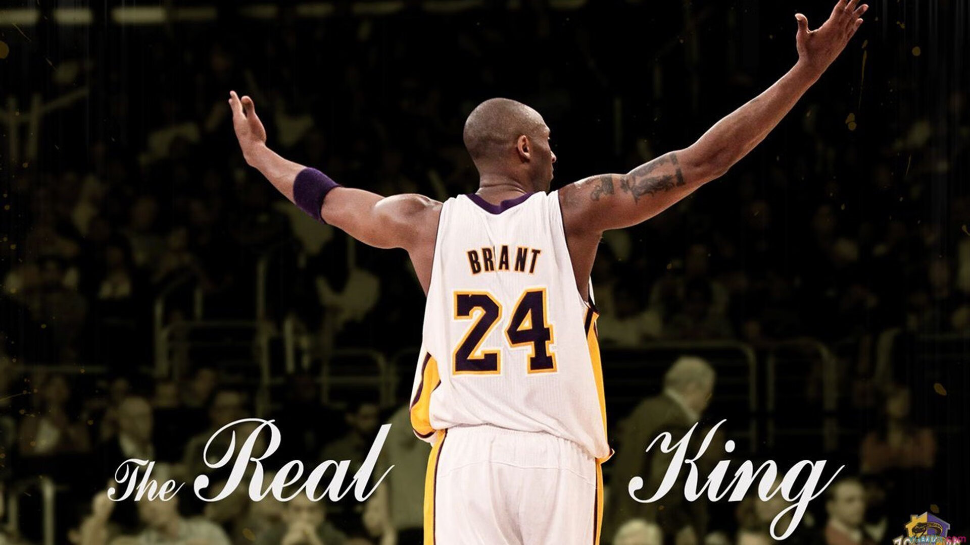 爱游戏体育（AYX）官方APP下载-T1选手训练成果显著，t1选手训练成果显著吗